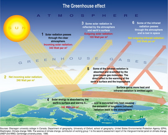 Greenhouse Effect